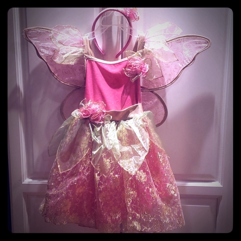 Sparkly Fairy Princess Costume